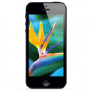 iPhone 5 [2012]